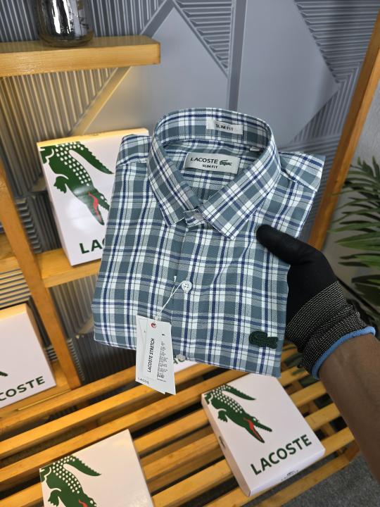 LC SHIRTS OLIVE K150-OL