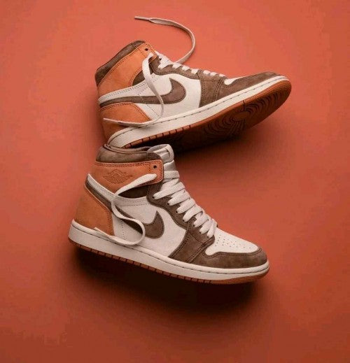 Air Jordan 1 High Dusted Clay