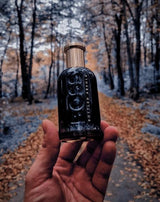 HUGO BOO_S BOTTLED ABSOLU
